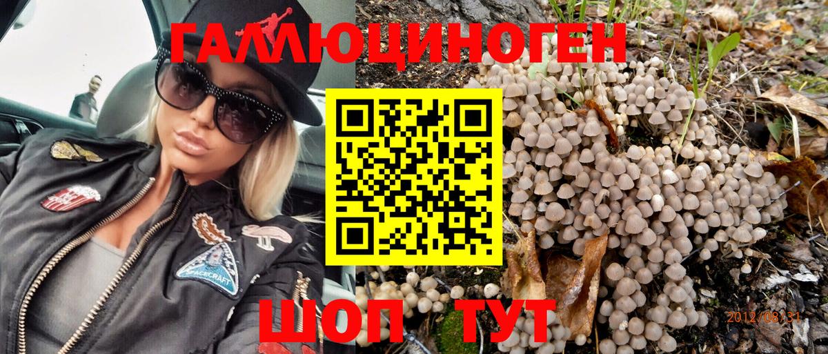 Псилоцибиновые грибы Psilocybe  Галлюциногенные грибы мухоморы  купить наркотики цена  Вход с VPN  Медногорск 