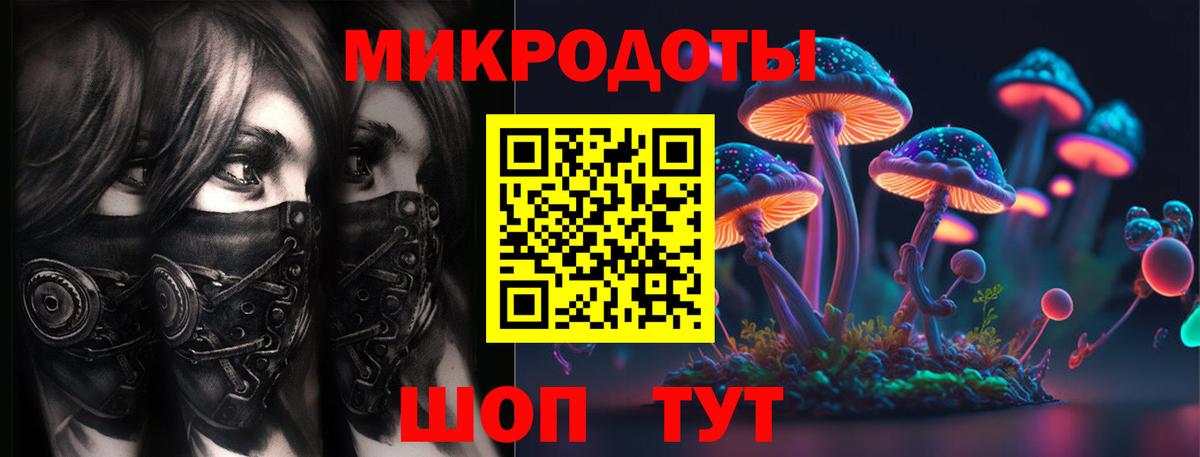 Галлюциногенные грибы Psilocybe Медногорск